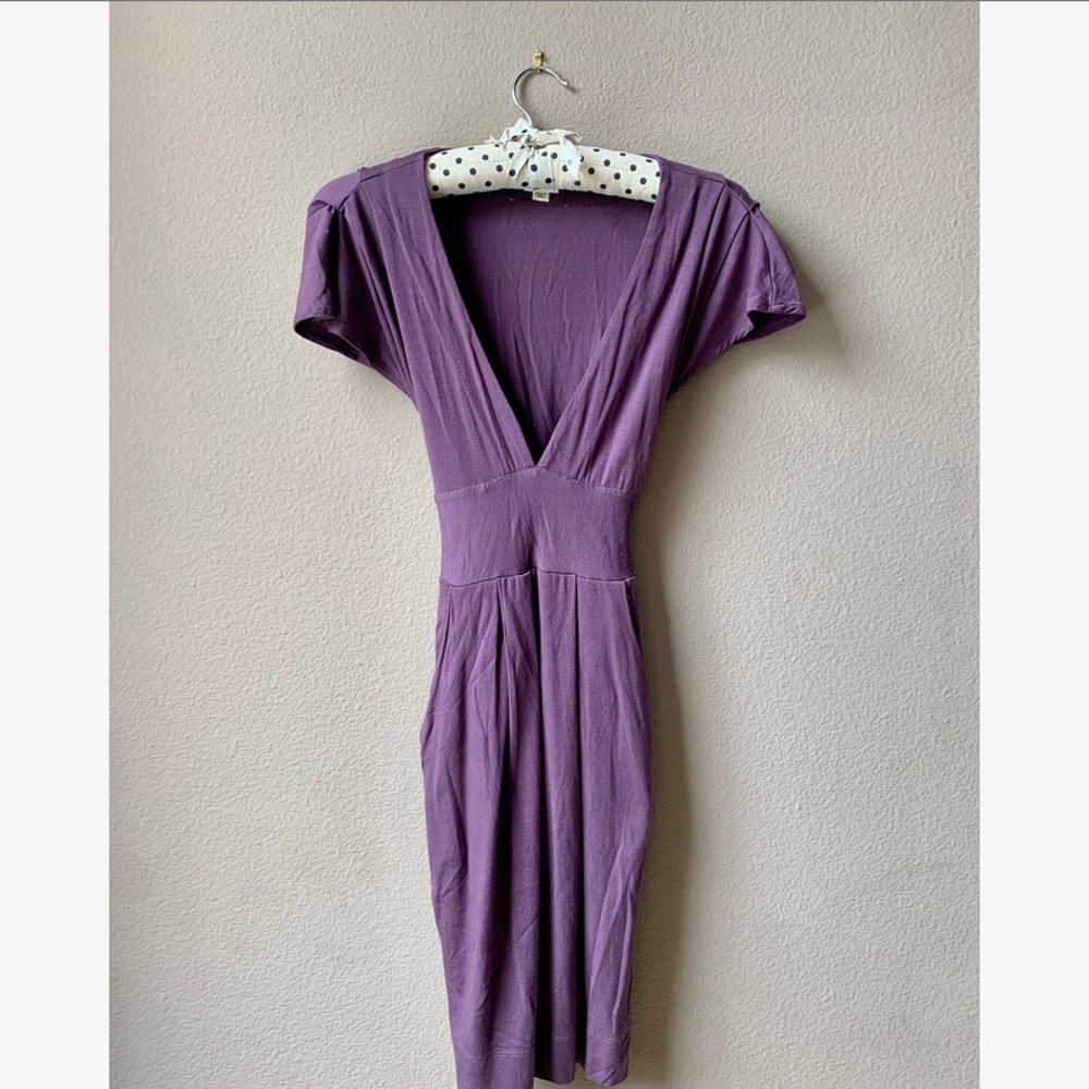 Aritzia Dress